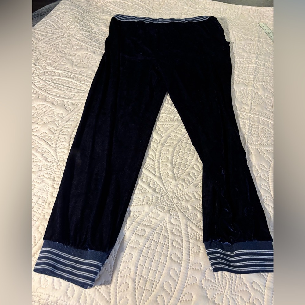 Splendid Navy Velvet Pants - Picture 3 of 3